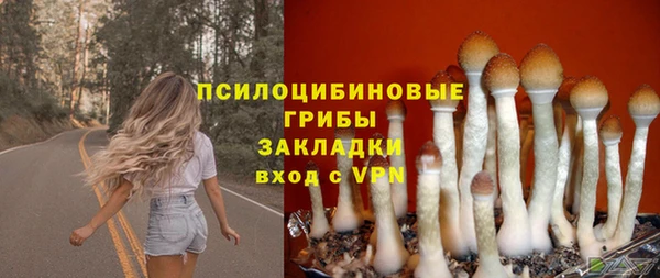 соль ск Алзамай