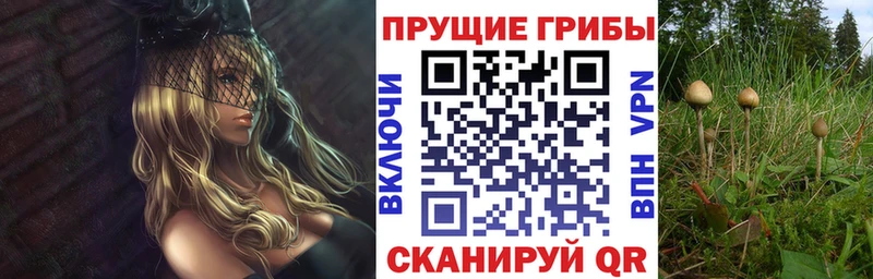 Галлюциногенные грибы ЛСД  Мамоново 